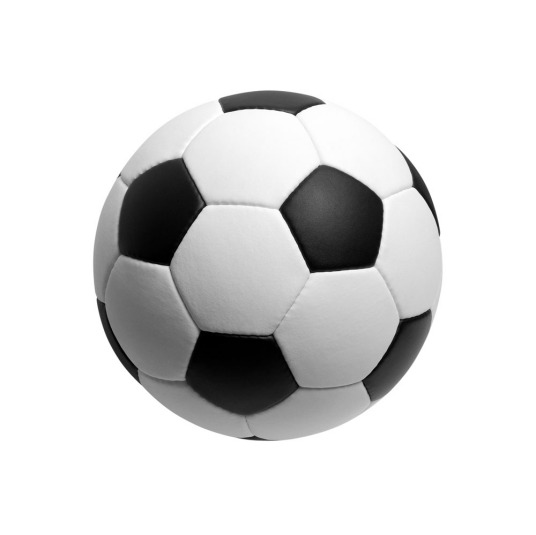 2月16日 25-26赛季意甲第25轮 都灵VS博洛尼亚