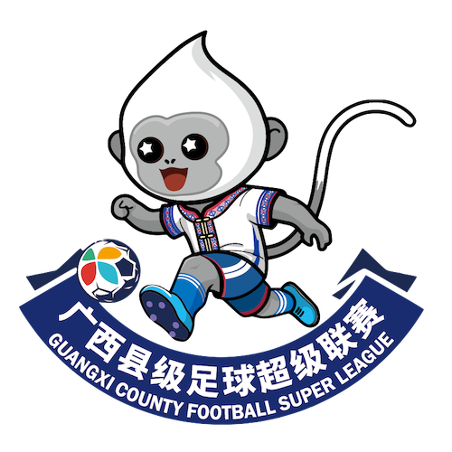 广西县级足球超级联赛 北海市合浦县队1-0钦州市钦北区队20260315