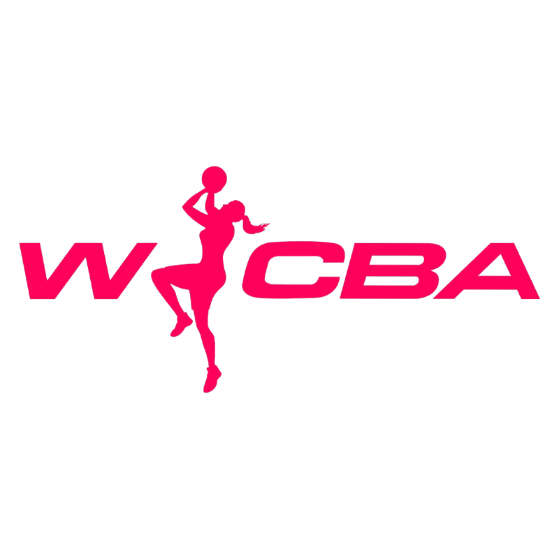 WCBA常规赛A组 河南豫光金铅vs武汉盛帆黄鹤20250307