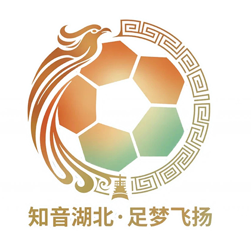 湖北省城市足球联赛 武汉华工科技队VS襄阳东风风神队20260523